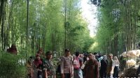 IMG-20240204-WA0033